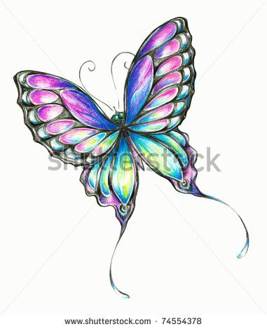 Delicate colorful butterfly hand painted.Picture I have create myself with colored pencils. Colorful Butterfly Tattoo, Butterfly Sketch, Pencil Drawings Of Flowers, Butterfly Images, Butterfly Tattoo Designs, Butterfly Pictures, Butterfly Drawing, Colorful Butterfly, Arte Animal