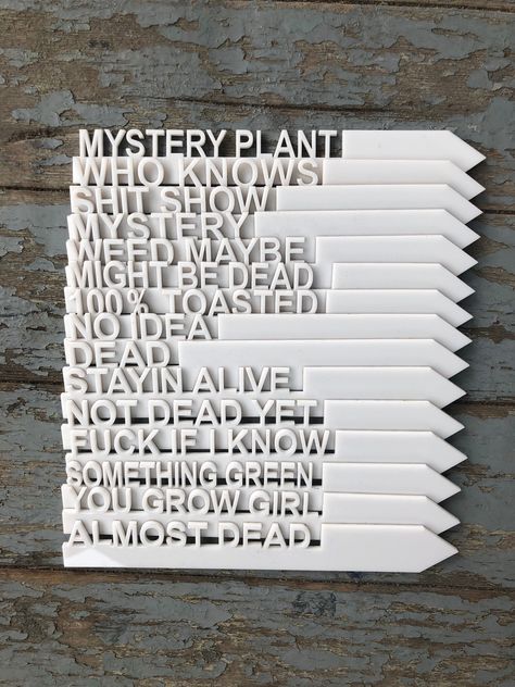 3d Printer Art, Funny Gardening, Store Signage, Gardening Humor, Gardening Decor, Plant Stakes, Laser Cut Wood Crafts, Foul Language, Plant Tags