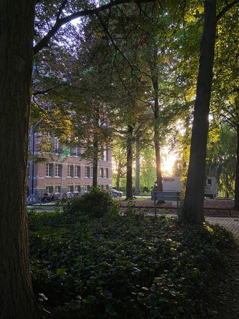 Nature
Light
Oldfashioned house Leuven University, Belgium Nature, Ku Leuven, Life Soundtrack, Dark Academia, Soundtrack, Belgium, Tree Trunk, University