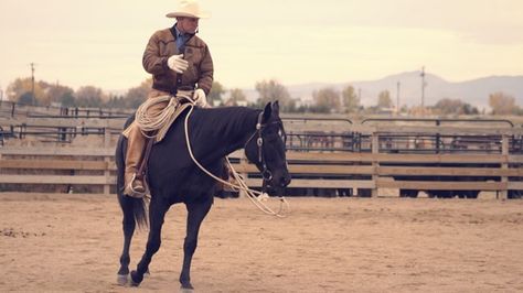 Buck Brannaman, Horse Training Exercises, Horse Exercises, Natural Horsemanship, Equestrian Helmet, Horse Training Tips, Horse Tips, English Riding, Horse Health