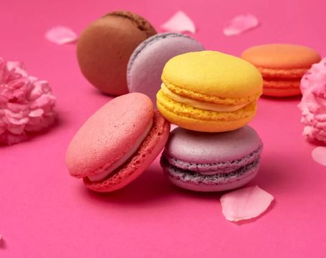 Substitutes For Almond Flour In Macarons Macarons Without Almond Flour, Flour Macarons, Almond Flour Substitute, Macarons Chocolate, Make Macarons, Circle Cake, Soaked Almonds, Chocolate Macarons, Healthy Flour