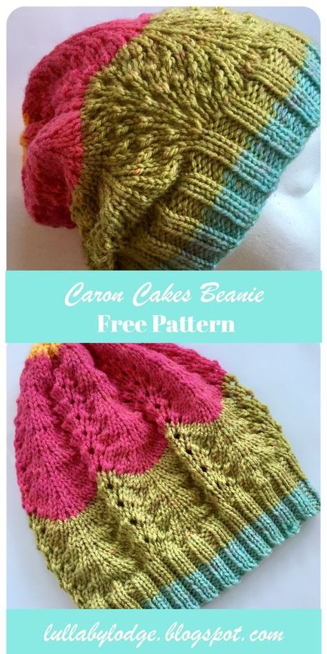 Simple Lace Pattern, Two Color Knitting Patterns, Shetland Lace, Knitted Headband Free Pattern, Beanie Knitting Patterns Free, Caron Cakes, Knitted Beanies, Knitting Hats, Knitting Patterns Free Scarf