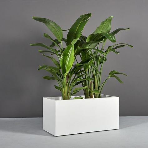 69220.MBW.Badalona.Angle.wplants Rectangular Planter Box, Herb Garden Planter, Colorful Planters, Modern Pot, Black Planters, Custom Planters, Fiberglass Planters, Rectangular Planters, Window Planter Boxes