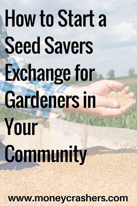 Seed exchanges are a part of the ever-expanding sharing economy, a network of people who save money by sharing products and services instead of buying and selling them. In a seed exchange, gardeners get together to swap their unused seeds for others they Seed Swap Ideas, Home Vegetable Garden Ideas, Seed Collecting, Harvesting Seeds, Produce Garden, Seed Swap, Plant Swap, Seed Library, Nancy Miller