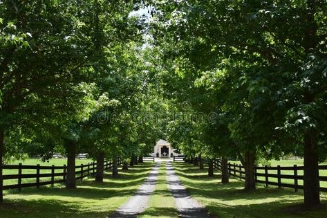 Country Property Landscaping, Land Ideas Acres, Tree Lined Driveway Country Farms, Long Country Driveway, Farm Driveway Entrance, French Chateau Pool, Long Driveway Ideas, Acreage Landscaping Ideas Country Life, Rural Driveway