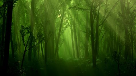 Fantasy Forest Backgrounds | Fantasy - Forest Wallpaper Dark Forest Background, Dark Green Wallpaper, Hd Widescreen Wallpapers, Artistic Wallpaper, Green Things, Forest Background, Magic Forest, Theme Background, Forest Theme