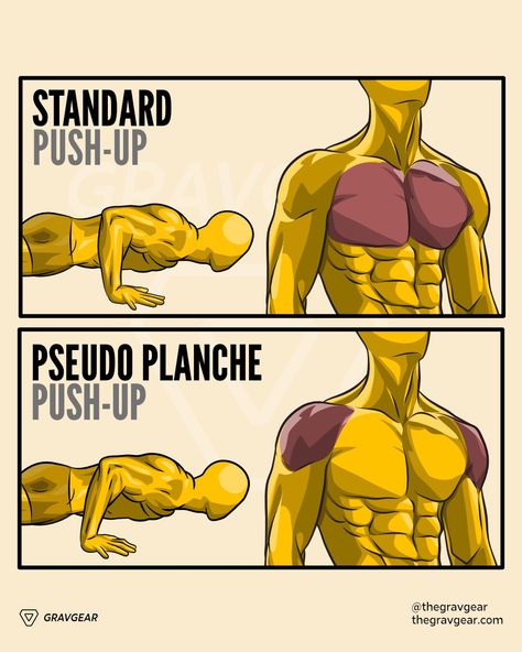 BAND OBLIQUE WORKOUT - NO ATTACHING #fit #fitness #workoutmen #bodybuilding #gym #workout #gymlife #workouteveryday #gymmotivation #gymgoals #gymlifestyle #workoutclothes #bodybuildinggoals #bodybuildingtips #workoutplans #gymqoutes #gymtips #gymnast #gymspiration #gymworkouts #workoutideas #gymnastics #gymlover #workoutmotivation #usagym #fitness #usagymwear #fitnessmotivation #motivation #sport #menfitness #calisthenics One Hand Push Up, Hand Workout, Calisthenics Equipment, Power Up, Calisthenics Workout Plan, Calisthenics Training, Gym Workout Guide, Speed Workout, Trening Sztuk Walki