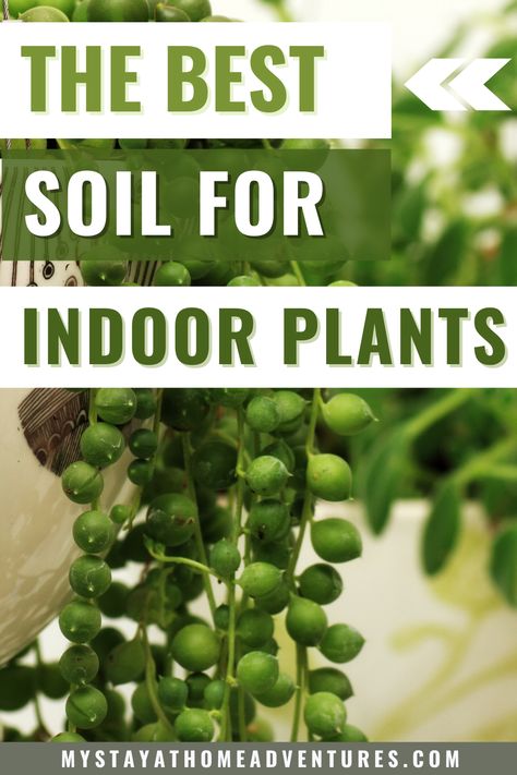 Mixing Soil For Houseplants, Potting Indoor Plants Tips, Fertilizing Indoor Plants, Best Plant Soil, House Plant Soil Recipe, Best Potting Mix For Indoor Plants, Best Soil Mix For Indoor Plants, Diy Potting Soil House Plants, Soil Mixture For Indoor Plants