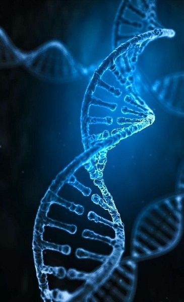 Dna Aesthetic, Universal Intelligence, Dna Wallpaper, Evolution Design, Dna Art, Microscopic Photography, Dna Design, Kartu Doa, Physical Chemistry