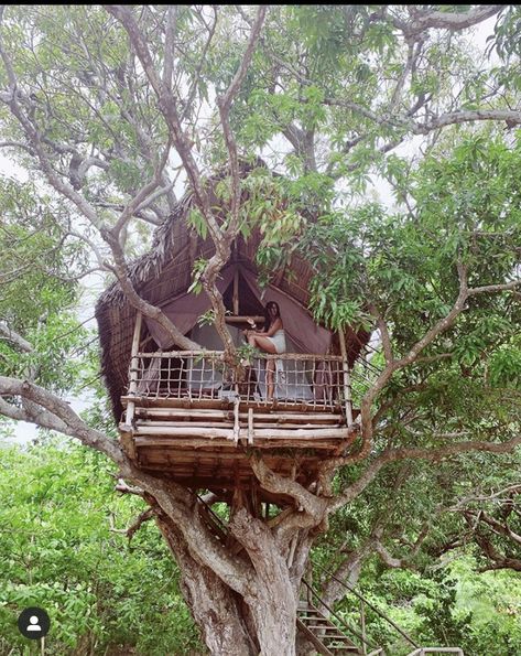 Treehouse Balcony, Swiss Family Robinson Treehouse, Reflection Ideas, Adult Tree House, Beautiful Tree Houses, Being Judged, Swiss Family Robinson, Cool Tree Houses, Tree House Designs