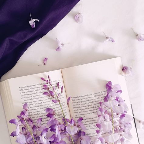 Lavender Book Aesthetic, Lavender Flower Aesthetic Vintage, Purple Reading Aesthetic, Books Purple Aesthetic, Pink Lilac Aesthetic, Book Purple Aesthetic, Purple Book Aesthetic, Purple Books Aesthetic, Violet Moodboard