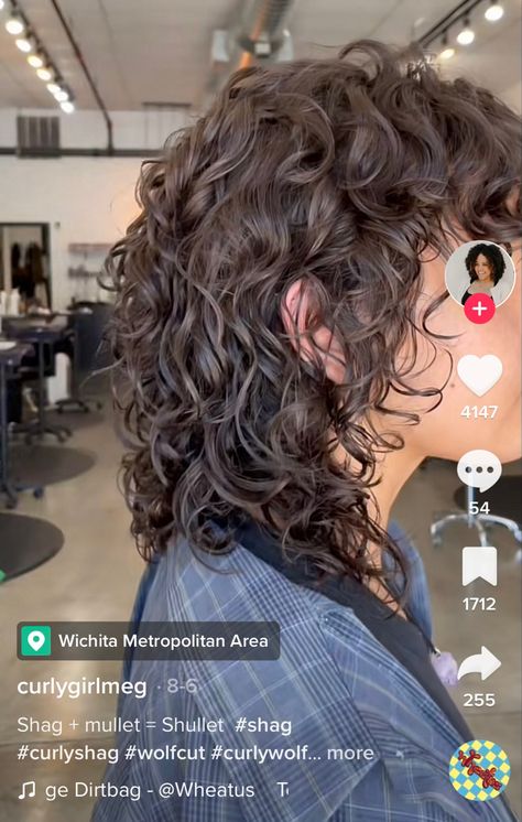 Gender Neutral Curly Hair, Women’s Curly Mullet, Curly Hair Shags, Curly Shullet Hairstyles, Shullet Curly Hair, Semi Mullet Women, Shullet Hairstyles Curly, Soft Mullet Haircut Curly, Curly Haired Mullet