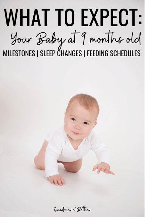 What to Expect: Your Baby at 9 Months Old. Feeding schedules, sleep regressions, and big milestones to expect from your 9 month old baby! 9 Month Old Milestones, Sleep Regressions, What Baby Needs, Newborn Tips, 9 Month Old Baby, Mother Board, Advice For New Moms, Sleep Training Baby, Baby Tips