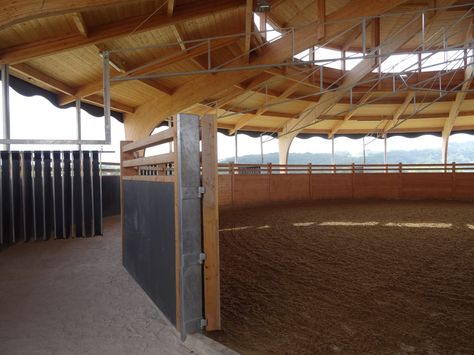 Combined horse walker and lunge ring (Molenkoning) Stable Inspiration, Horse Walker, Storm Prep, Stable Ideas, Horse Water, Horse Arena, Horse Barn Designs, Dream Stables, Diy Horse