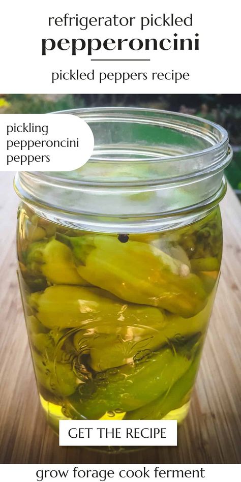 Preserving Peppers, Pickled Pepperoncini, Pickled Pepper Recipe, Quick Pickled Vegetables, Refrigerator Pickle Recipes, Preserving Vegetables, Easy Vegetable Recipes, Pickled Peppers, Easy Vegetable Side Dishes