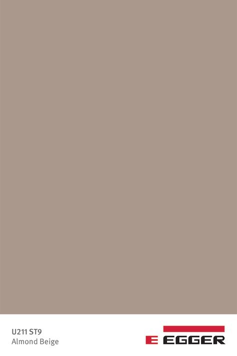 U211 ST9 Almond Beige Contemporary Paint Colors, Exterior Masonry Paint, Wood Primer, Masonry Paint, Eggshell Paint, Socialite Family, Traditional Paint, Clay Paint, Mind The Gap