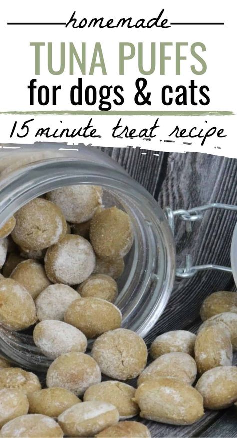 Dog and Cat Treat Recipe: It's hard to find good pet treats in the stores, but the best ones are homemade! Homemade Tuna Puffs are made without questionable ingredients. Pet Desserts, Bao Food, Homemade Cat Treats Recipes, Tuna Cat Treats, Homemade Pet Treats, Animal Treats, Pet Treats Recipes, Homemade Cat Food, Dog Treats Homemade Easy