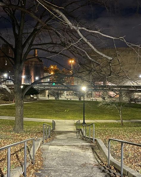 Lehman College on Instagram: "Lehman at night✨ Photo by @_millypics_" Lehman College, College Aesthetic, Night Photo, Night Photos, At Night, On Instagram, Quick Saves, Instagram