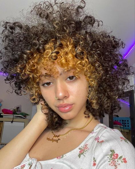 Dark Underneath Hair, Hair Dude, Skunk Hair, Curly Fro, Dyed Curly Hair, Hair Color Underneath, Dyed Hair Inspiration, Dyed Natural Hair, Hairdos For Curly Hair