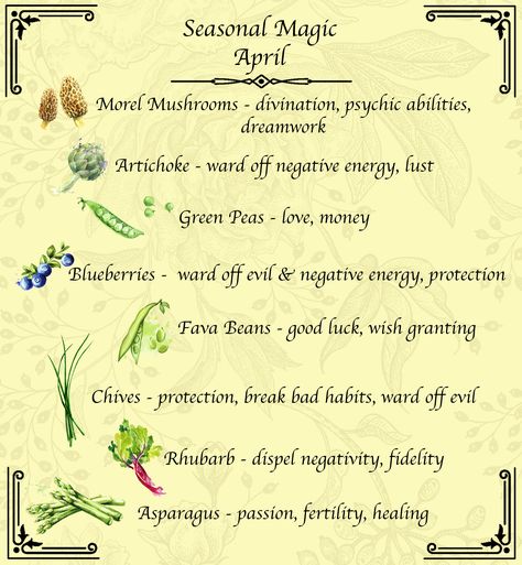 Quick guide to April seasonal produce and its magical properties. Magical Properties Of Cedar, April Magical Correspondences, Allspice Magical Properties, April Correspondences, April Magick, Magick Correspondences, Herb Properties, Herbal Properties, Magick Herbs