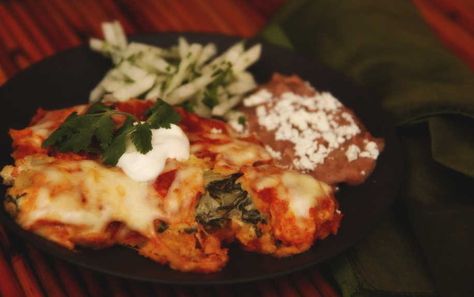 curly dock enchiladas Curly Dock, Edible Recipes, Common Garden Plants, Homestead Recipes, Food Foraging, Foraging Recipes, Wild Edibles, Wild Food, Edible Plants