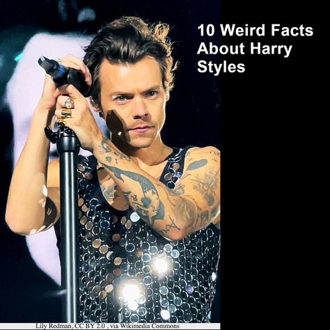 10 weird facts about Harry Styles Anne Cox, Harry Styles Facts, Harry Styles Update, Weird Gifts, Marriage Equality, Celebrity Biographies, Cover Songs, Fleetwood Mac, Hit Songs