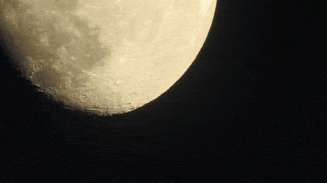 via GIPHY Sun And Moon Gif, Moon Gif, Giphy Gif, Sun And Moon, Sun Moon, Potpourri, Domain Names, Universe, Gif