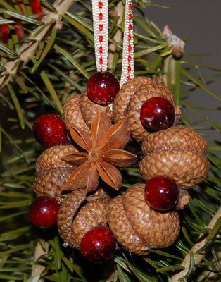 Ornament made from acorn tops and star anise set with cranberry red beads. @Tricia Bimber McCray &@Tiffany Bimber  wish we would have had Pinterest when we use to try to sell the acorns outside of Grannies house in Findley Lake we could have made something like this! Chestnut Crafts, Navidad Natural, Jul Diy, Acorn Ornaments, Acorn Crafts, Pinecone Crafts, Cone Crafts, Cones Crafts, Pine Cone Crafts