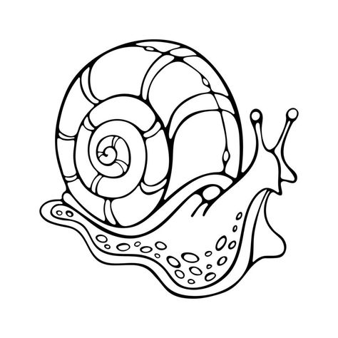 Snail Shell Drawing, Snail Sketch Simple, Snail Coloring, Snail Outline, Snail Outline Drawing, Snail Drawing Color, Hand Drawn Vector, Vector Art, White Background