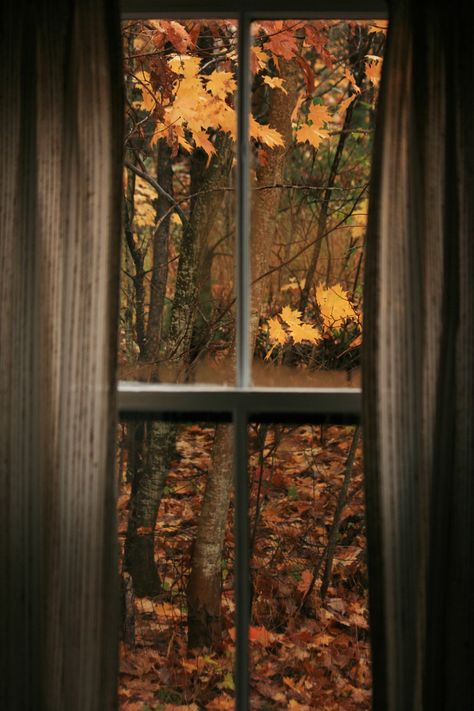 Fall through my window Fall Window Scene, Fall Through Window, Raining Outside Window Aesthetic, Fall Leaves Through Window, Christine Mcconnell, Gloomy Window Aesthetic, Through My Window, Blue Banisters, Cozy Environment