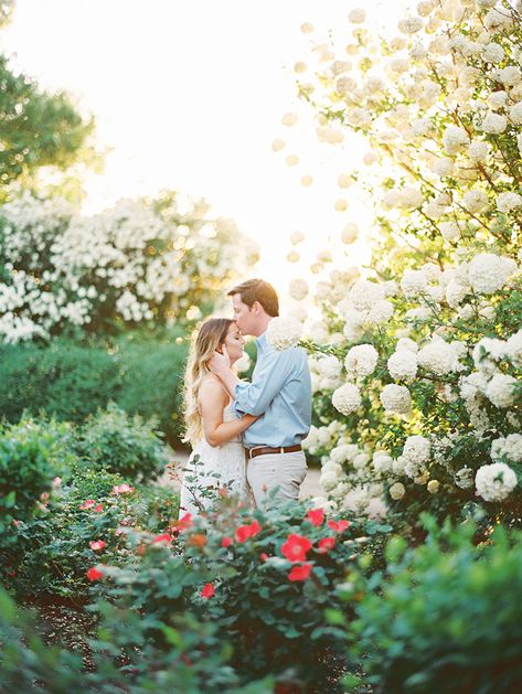 Prenup Photos Ideas, Tattoo Plant, Fun Engagement Photos, Cute Engagement Photos, Couple Engagement Pictures, Garden Engagement, Engagement Photos Country, Spring Engagement Photos, Dallas Arboretum