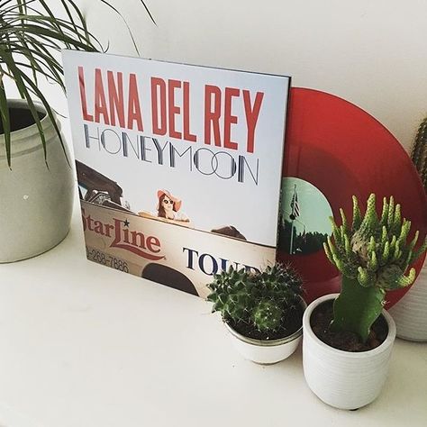 What's your fav song from Honeymoon? #lanadelrey Lana Del Rey Honeymoon Vinyl, Lana Del Rey Vynil Aesthetic, Lana Del Rey Vinyl Aesthetic, Honeymoon Vinyl, Terrence Loves You, Lana Del Rey Honeymoon, Lana Del Rey Albums, Vinyl Aesthetic, Lana Del Rey Vinyl