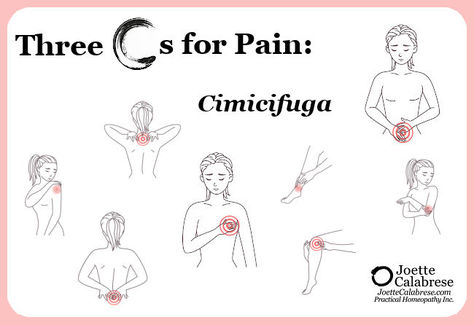 Homeopathy for headache pain: Cimicifuga Homeopathy For Headaches, Uterine Prolapse, Homeopathy Remedies, For Headaches, Feeling Numb, Homeopathic Medicine, Menstrual Cramps, Flower Essences, Painkiller