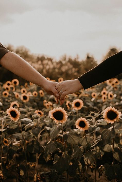 Sunflower Field Engagement Photos, Sunflower Field Photography, Sunflower Field Pictures, Sunflower Photoshoot, Sunflowers Field, Field Engagement Photos, Sunflower Patch, Sunflower Photography, Fall Engagement Pictures