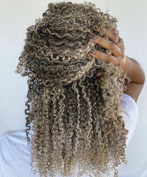 Balayage On 4c Hair, Frosted Tips Black Women Hair, Blonde Highlights 4c Natural Hair, Highlights Afro Hair, Blonde Highlights Curly Hair Black Women, 4c Blonde Highlights, Blonde Type 4 Natural Hair, Blonde Highlights 4c Hair, Blonde Highlights Afro