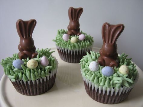 Chocolate Easter Bunny Cupcakes | by pollyd (Paula) Easter Bunny Cupcakes, Bunny Cupcakes, Easter Sweets, Torte Cupcake, Chocolate Easter Bunny, Easter Baking, Easter Goodies, Easter Cupcakes, Chocolate Bunny