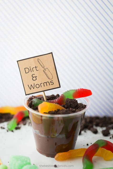 Dirt & Worms Recipe for Kids - such a fun treat for kids! Spring Treats For Kids, Butterfly Snack Bags, Easy Spring Treats, Nature Snacks, Butterfly Snacks, Homemade Gummy Bears, Theme Snack, Treats For Kids, Spring Baking