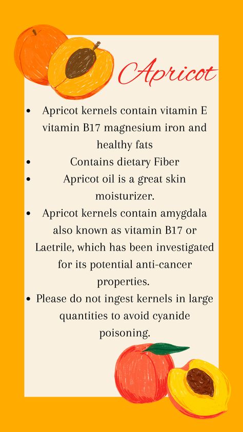 Short summary of the benefits of apricot kernel and oil. Apricot kernels are not dangerous in small quantities of 5 per day. Apricot Kernel Oil Recipes, Apricot Kernels Benefits, Apricot Oil For Face, Benefits Of Apricots, Apricot Oil Benefits, Apricot Kernel Oil Benefits, Medical Herbs, Apricot Oil, Apricot Kernels