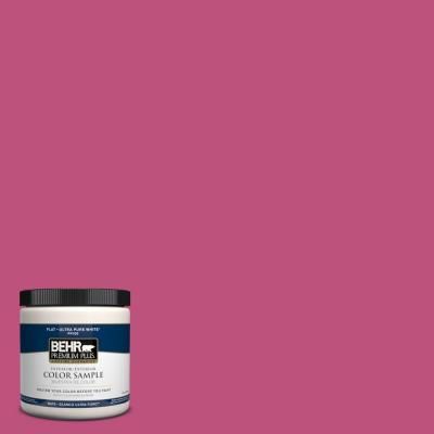 Behr Tutti Frutti -- Don't know where I'll use it yet, but I suspect the third bedroom upstairs is going to end up being the pink room. Behr Marquee Paint, Exterior Upgrades, Suite Decor, Behr Premium Plus, Behr Marquee, Coastal Exterior, Behr Colors, Color Room, Eggshell Blue