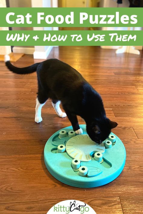 Mental Stimulation For Cats, Cat Enrichment Toys, Cat Food Puzzle, Cat Puzzle Feeder, Cat Enrichment, Wiffle Ball, All About Food, Living With Cats, Diy Puzzles