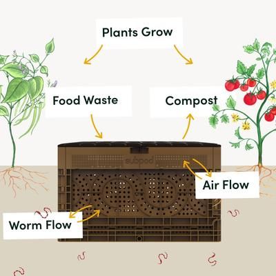 Subpod vs. Lomi, Kalea and Foodcycler – Subpod US Red Wiggler Worms, Red Wigglers, Compost Bins, Compost Pile, Composting Process, Inside Garden, Worm Farm, Garden Compost, Food Scraps