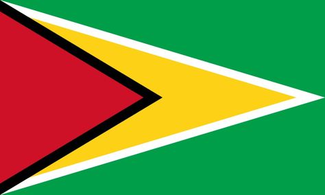 List of Guyanese flags 2 Guyanese Flag, Tricolour Flag, Guyana Flag, National Flags, Fire Service, Dark Blue Background, Horizontal Stripes, National Flag, Beautiful Buildings