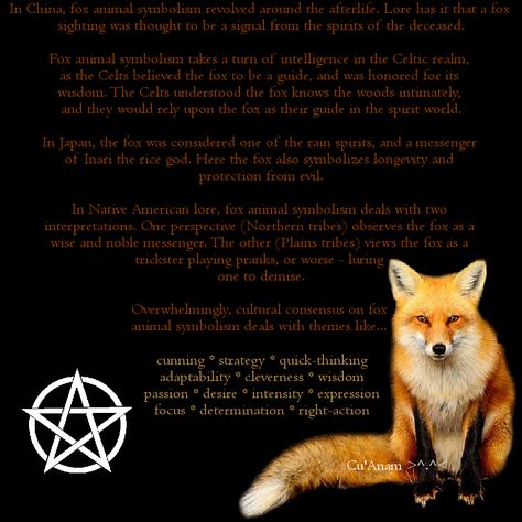 Spirit Animal - Fox Fox Spirit Animal Meaning, Spirit Animal Meaning, Animal Reiki, Animal Meanings, Spirit Animal Totem, Fox Spirit, Animal Spirit Guides, Animal Guides, Eclectic Witch