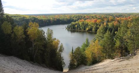 Manistee National Forest, Ohv Trails, North Country Trail, Ocala National Forest, Forest Camping, Chattahoochee National Forest, Road Trip Camping, Forest Camp, Atv Riding