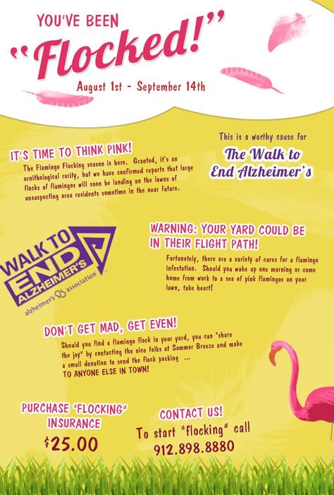 Profit tips for doing a pink flamingo fundraiser - Using a multiple flocking approach with this easy fundraiser idea produces hundreds of dollars per day. Description from pinterest.com. I searched for this on bing.com/images Community Fundraiser Ideas, Flocking Fundraiser, Flamingo Fundraiser, Fundraisers Ideas, You've Been Flocked, Sports Fundraisers, Pta Fundraising, Easy Fundraisers, Fun Fundraisers