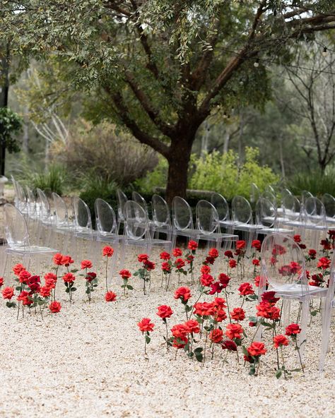 En masse red roses lead the way to the most dreamy ceremony for Monty and Mark at @redleafwollombi 🌹 Styled and coordinated by @yourdaybychloe Photography by @megankelly.studio Wedding Isles, Fruit Wedding, Marsala Wedding, Red Rose Wedding, Indoor Ceremony, Ceremony Inspiration, Ceremony Flowers, October 27, Wedding Aisle