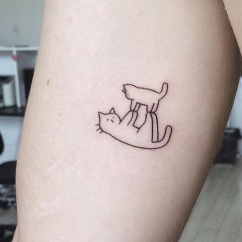 Racoon Tattoo Simple, Racoon Tattoo, Tattoo Gato, Simple Tats, Cute Animal Tattoos, Tattoos For Men And Women, Tattoo Mini, Rainbow Tattoos, Tattoos Men