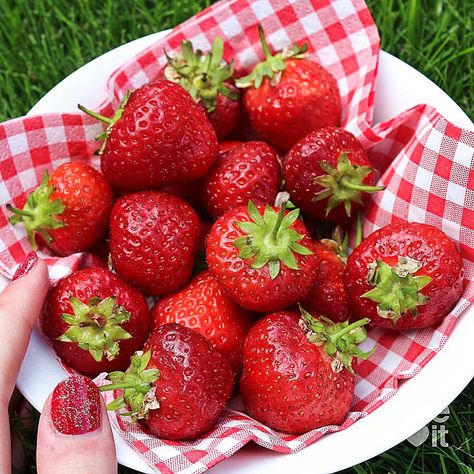 Strawberry Summer, Strawberry Fields Forever, Strawberry Fruit, Red Strawberry, Strawberry Fields, Strawberry Milk, Strawberry Shortcake, Cute Food, Aesthetic Food