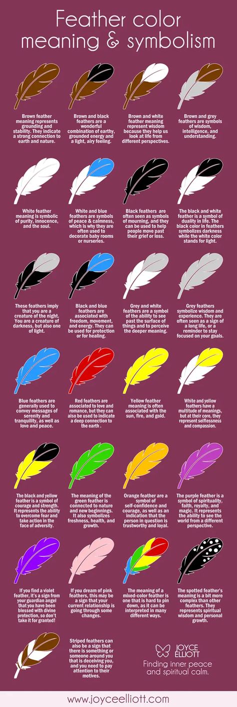 Feather Color Meaning Spiritual, Feather Colour Meaning, Red Feather Meaning, Feather Color Meaning, Feather Identification, Finding Feathers, Feather Symbolism, Feather Meaning, Animal Infographic