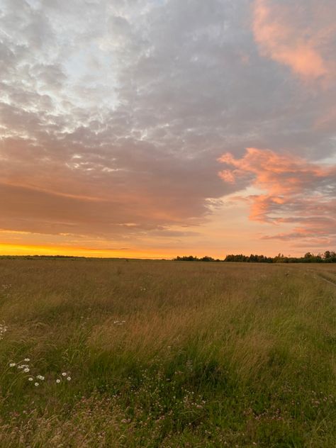 Sunny Grassy Field, Farm Fields Landscapes, Open Field Aesthetic, Meadow Background, Sunset Meadow, Sunset Field, Field At Sunset, Grassy Field, Pretty Landscapes